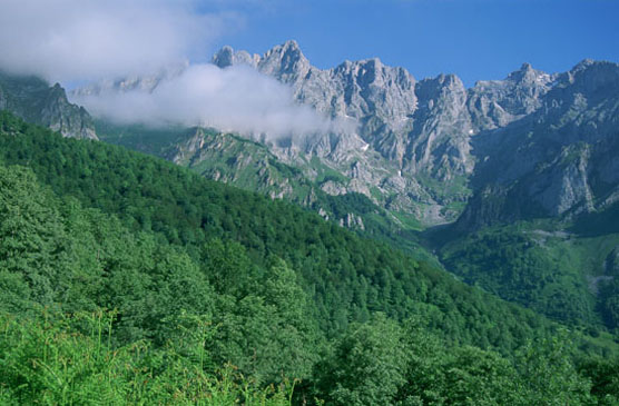 Parque Nacional de Picos de Europa. Autor: C. Valdecantos/Fototeca CENEAM