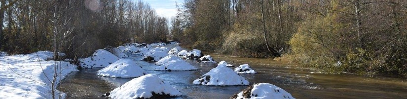 Depósito de sedimentos procedentes de eliminación de mota para su movilización en crecida. Río Bernesga (CH Duero)