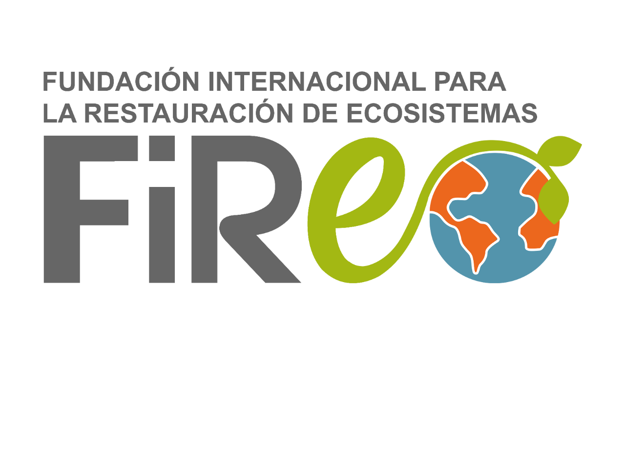 Logo fundación Fire