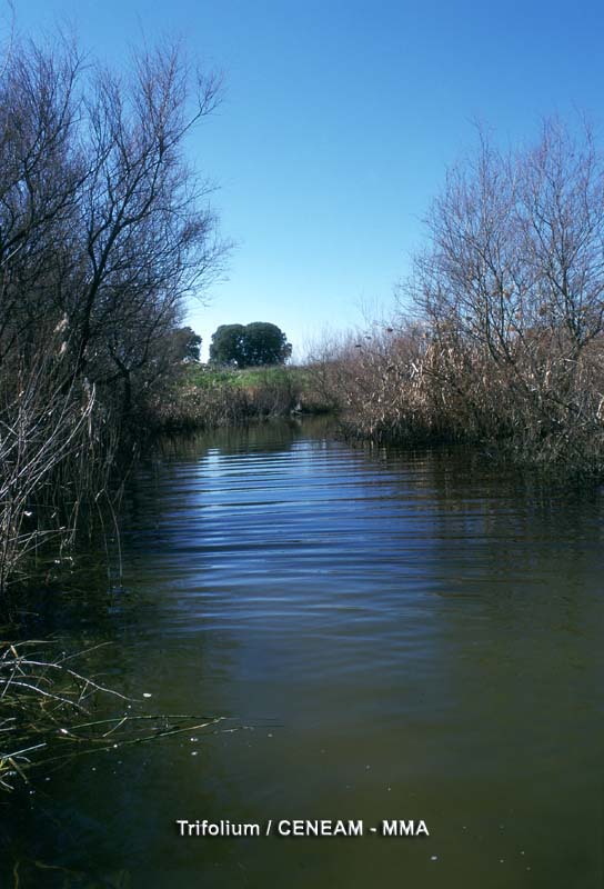 tablas-de-daimiel