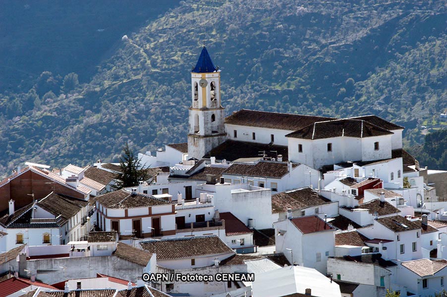 Sierra de las Nieves y su entorno