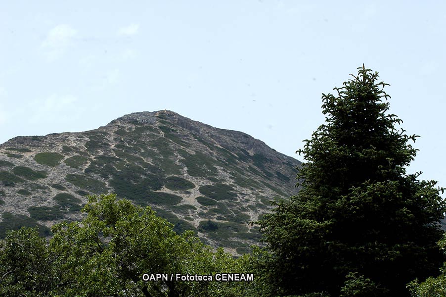 Sierra de las Nieves