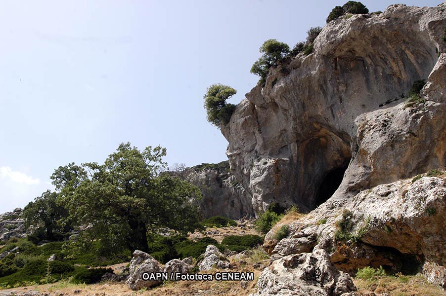 Sierra de las Nieves