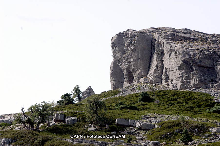 Sierra de las Nieves y su entorno