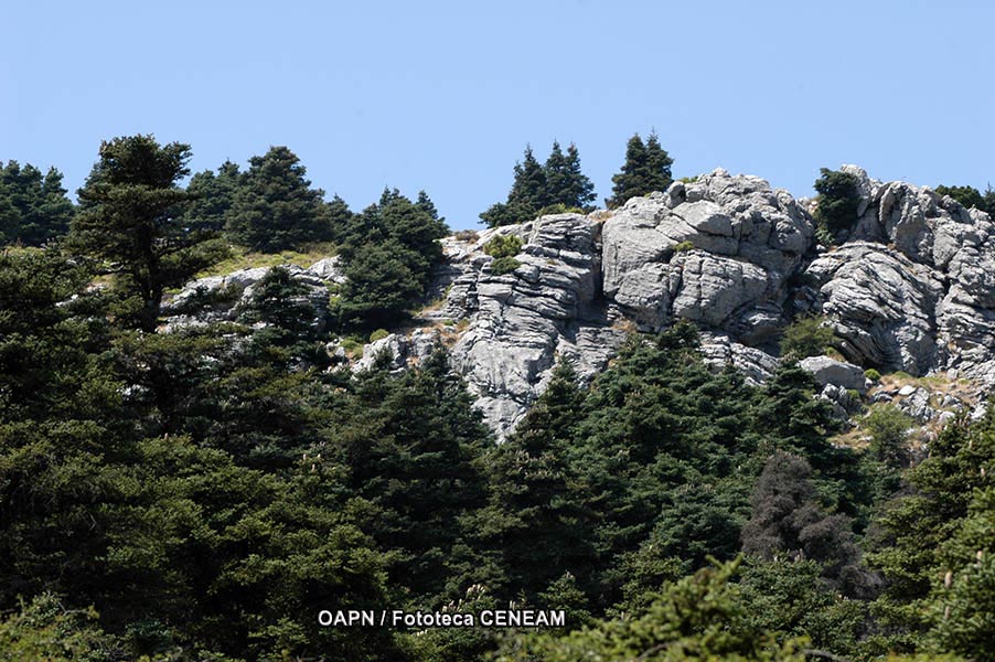 Sierra de las Nieves y su entorno