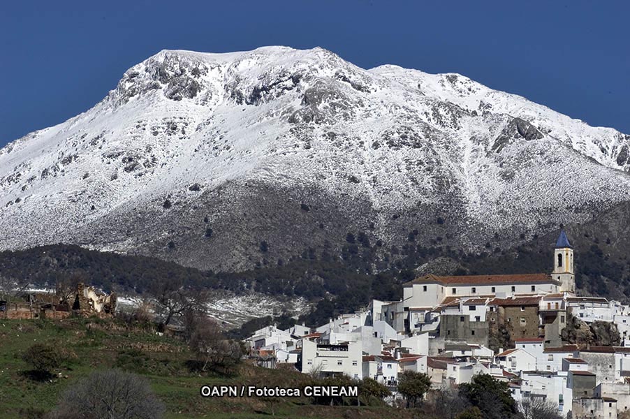 Sierra de las Nieves y su entorno