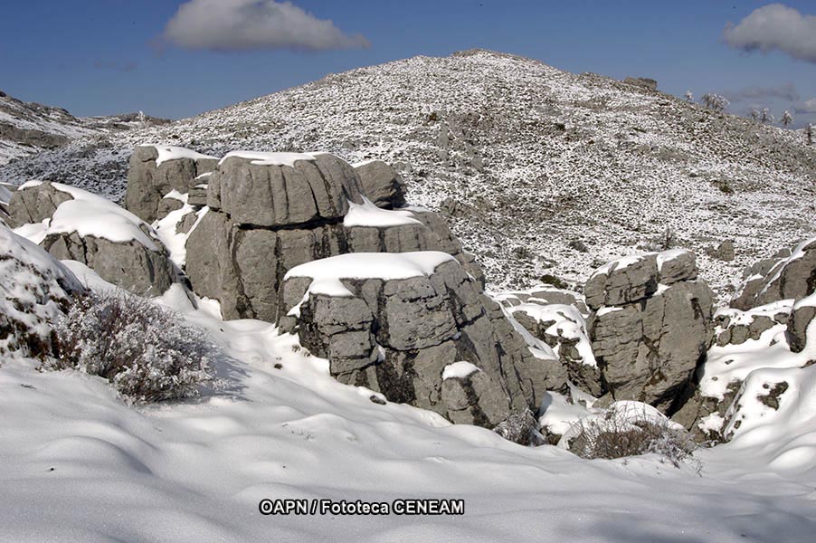 Sierra de las Nieves