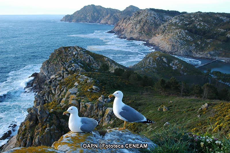 Maritimo-Terrestre de las Islas Atlanticas de Galicia