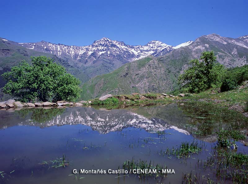 Sierra Nevada