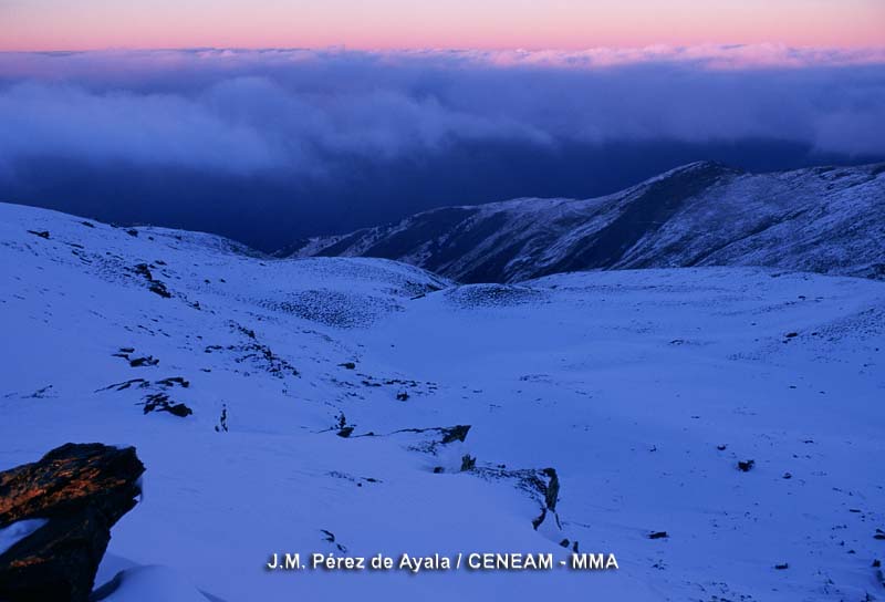 Sierra Nevada