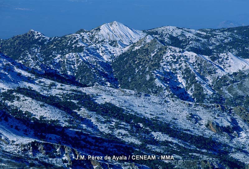 Sierra Nevada