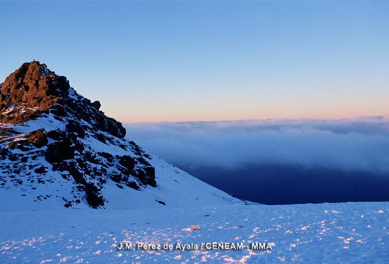 Sierra Nevada