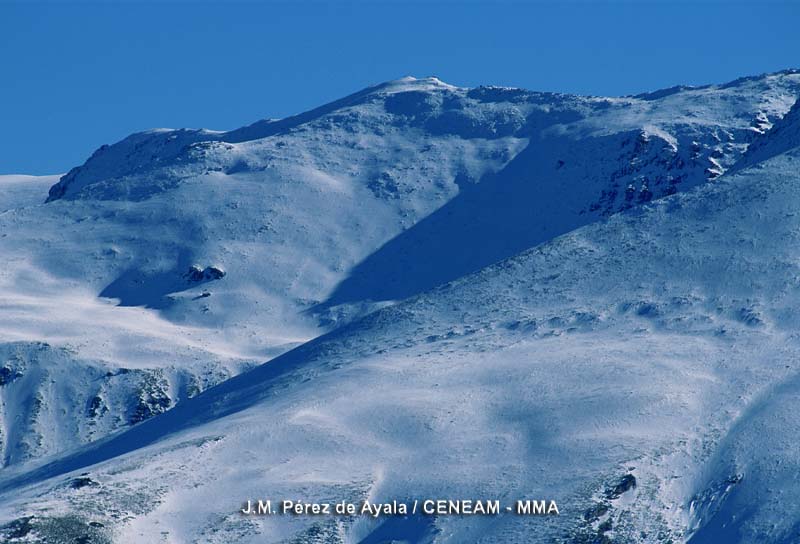 Sierra Nevada