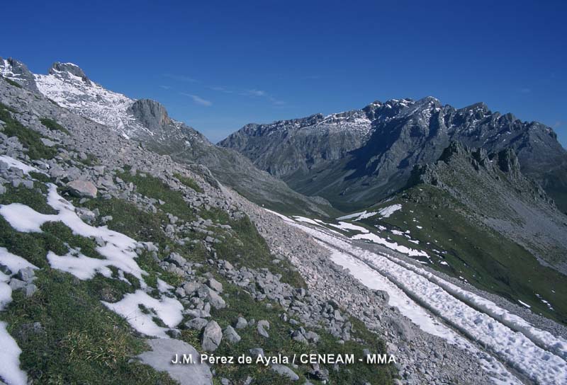 Picos de Europa