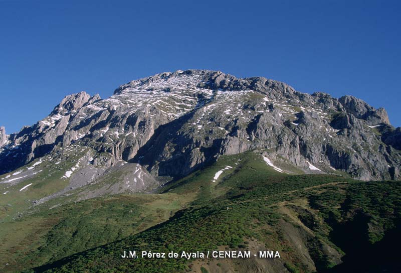 Picos de Europa