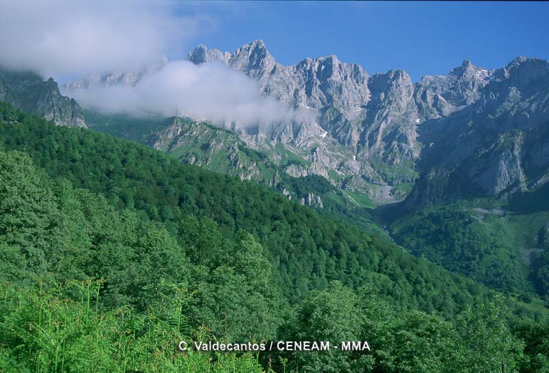 Picos de Europa