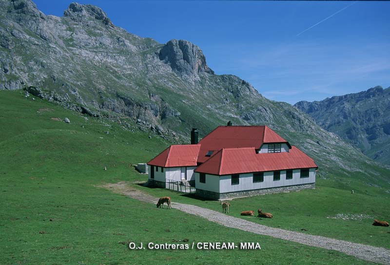 Picos de Europa