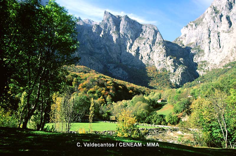 Picos de Europa