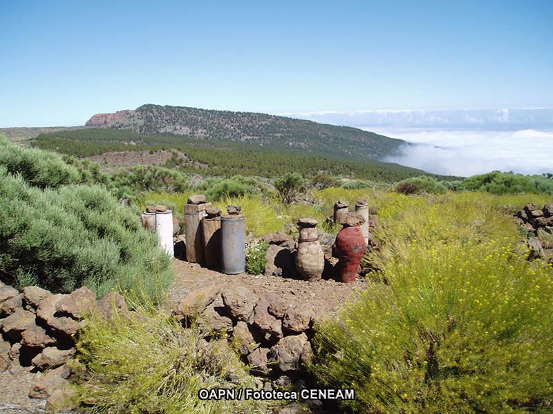 El Teide