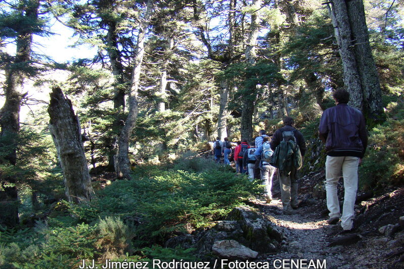 Sierra de las Nieves y su entorno