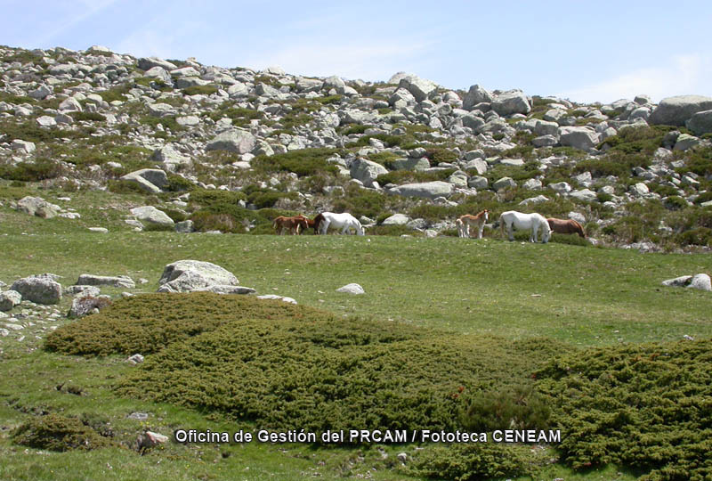 Sierra de Guadarrama