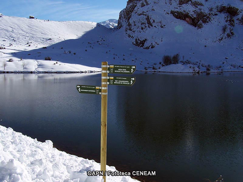 Picos de Europa