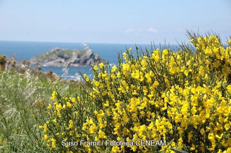 Maritimo-Terrestre de las Islas Atlanticas de Galicia