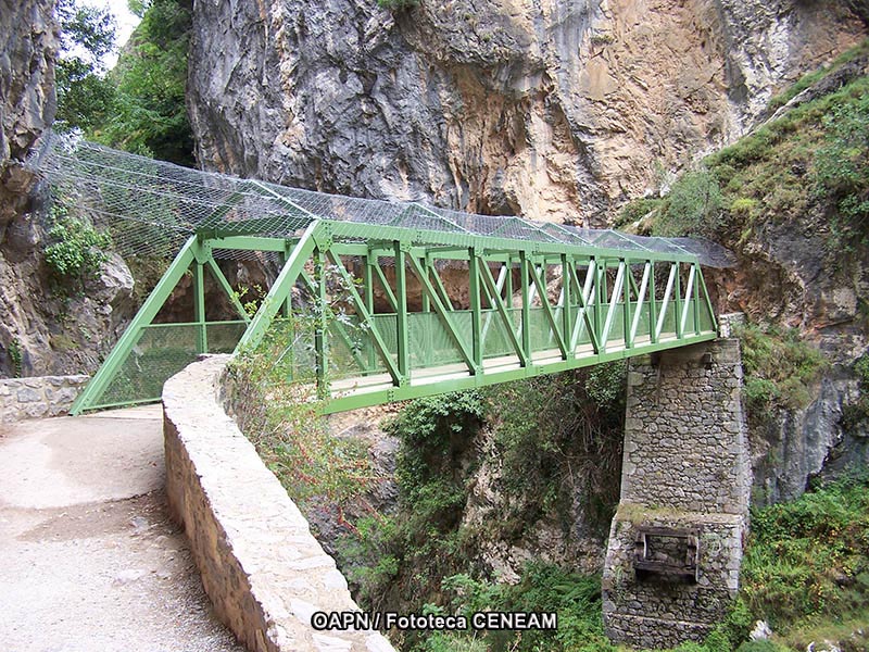 Picos de Europa