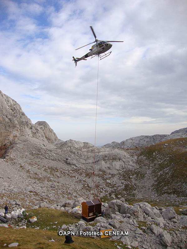 Picos de Europa