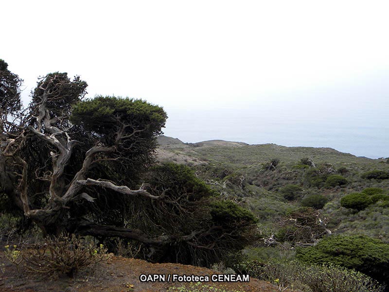 El Hierro