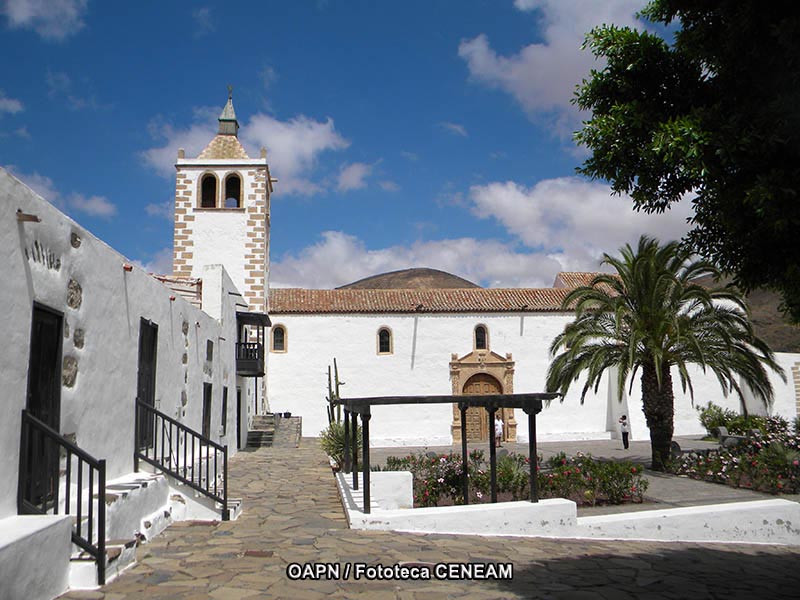 Fuerteventura