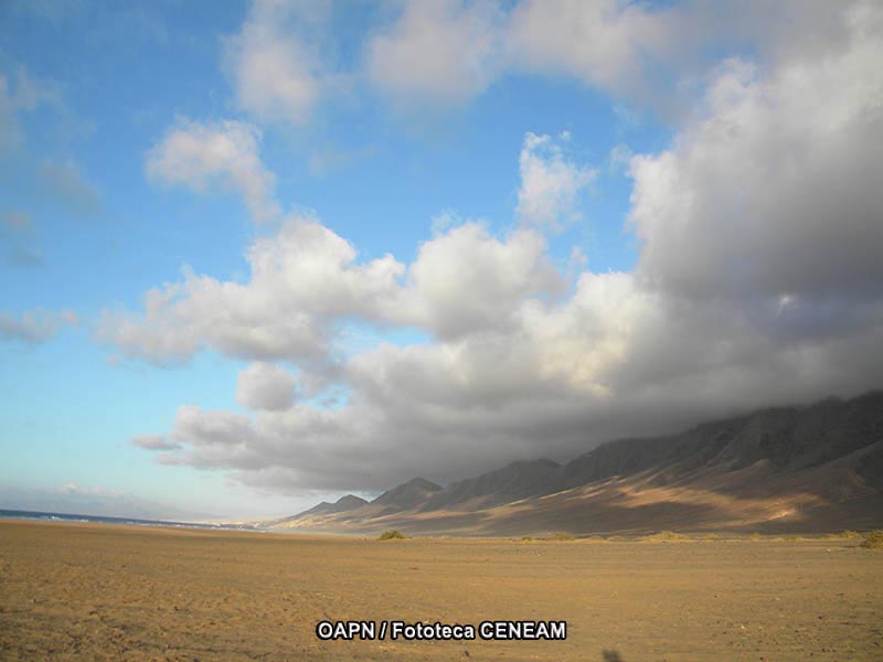 Fuerteventura