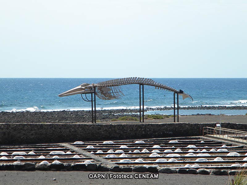 Fuerteventura