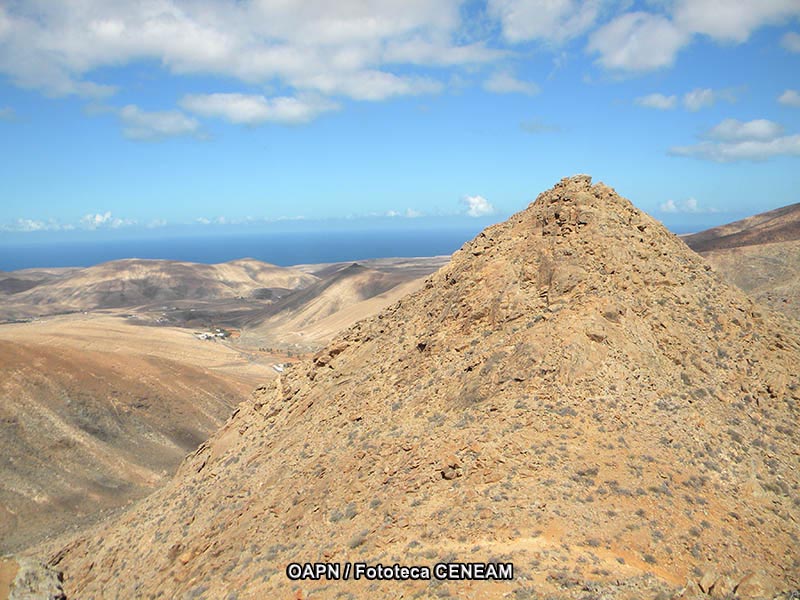 Fuerteventura