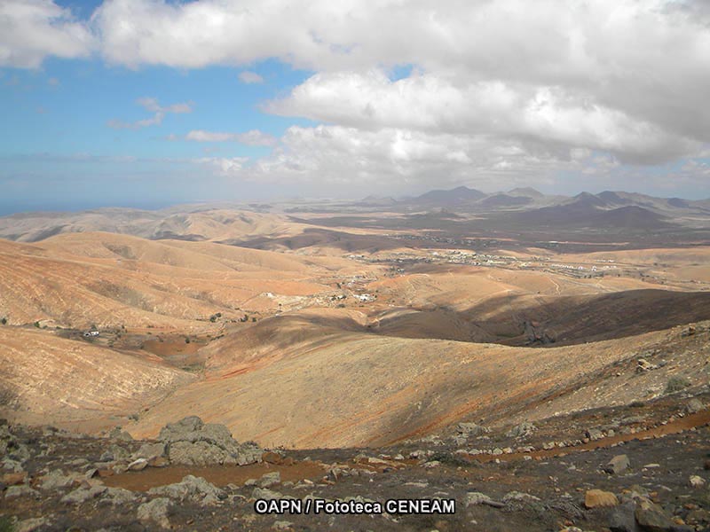 Fuerteventura