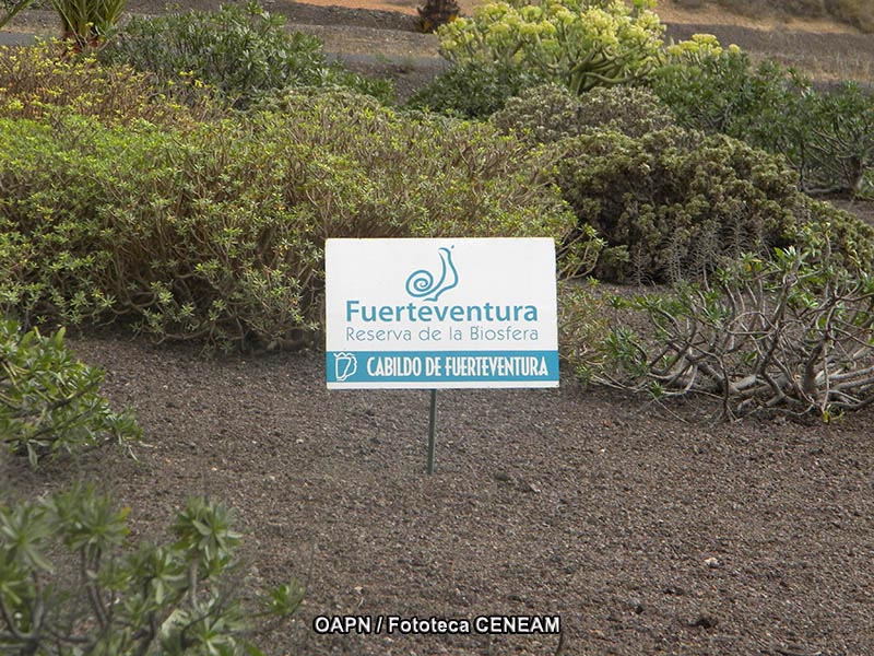 Fuerteventura