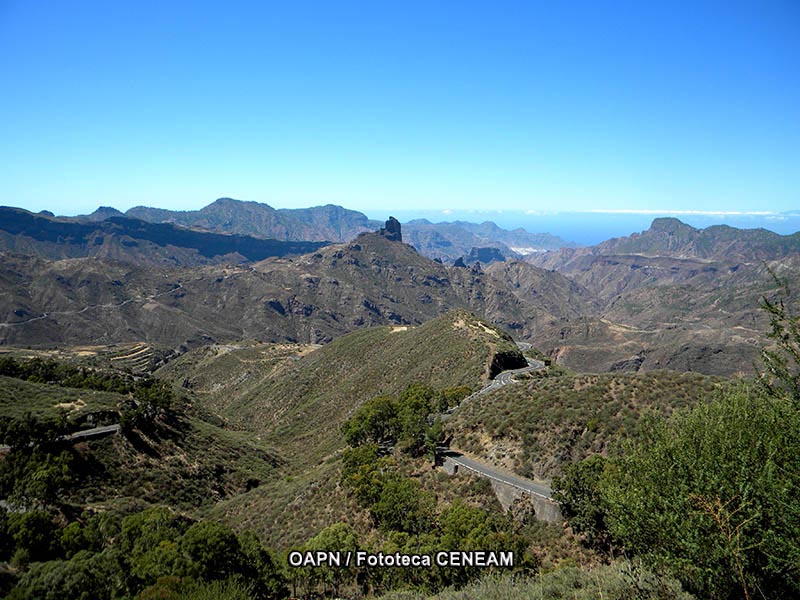 Gran Canaria