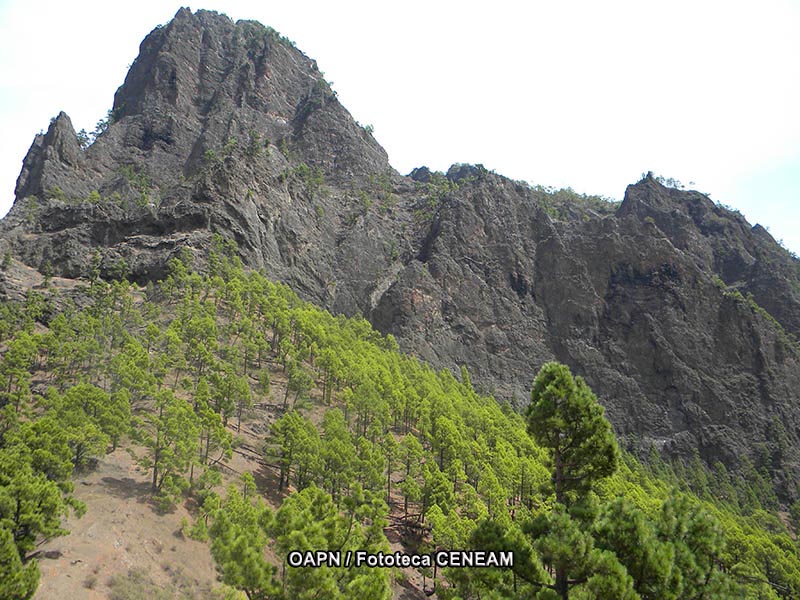 La Caldera de Taburiente