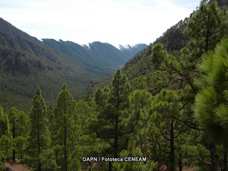 La Caldera de Taburiente