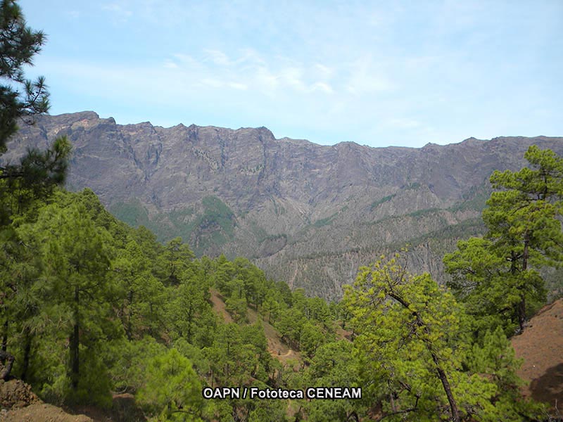 La Caldera de Taburiente