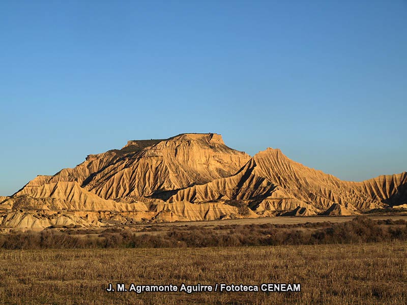 Sierra de las Nieves y su entorno