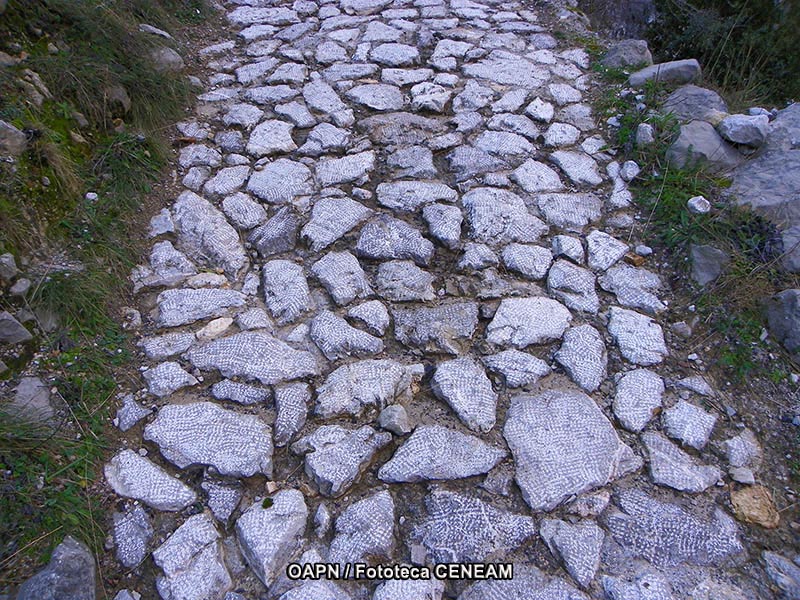 Picos de Europa