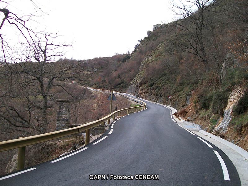 Picos de Europa