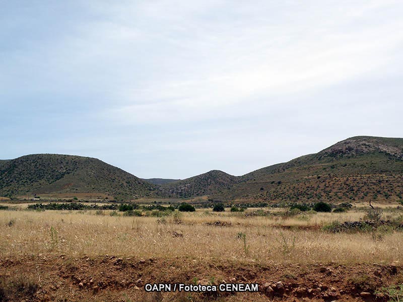 Cabo de Gata-Nijar