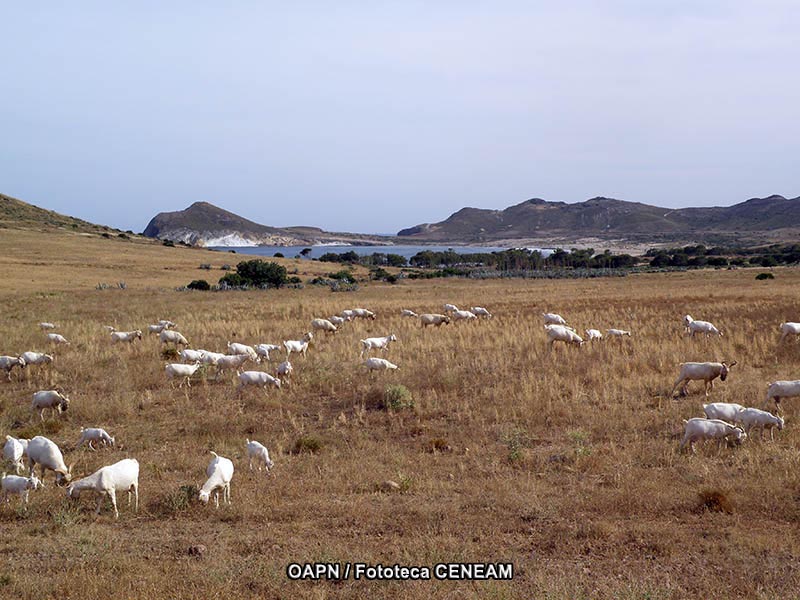 Cabo de Gata-Nijar