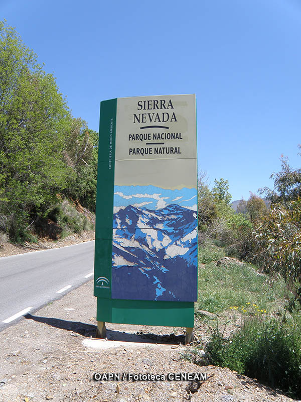 Sierra Nevada