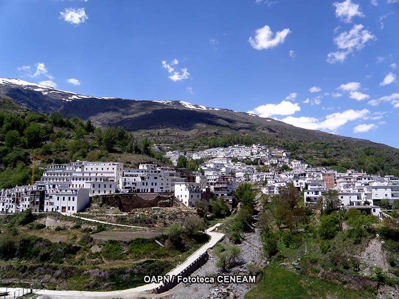 Sierra Nevada