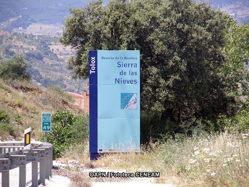 Sierra de las Nieves y su entorno