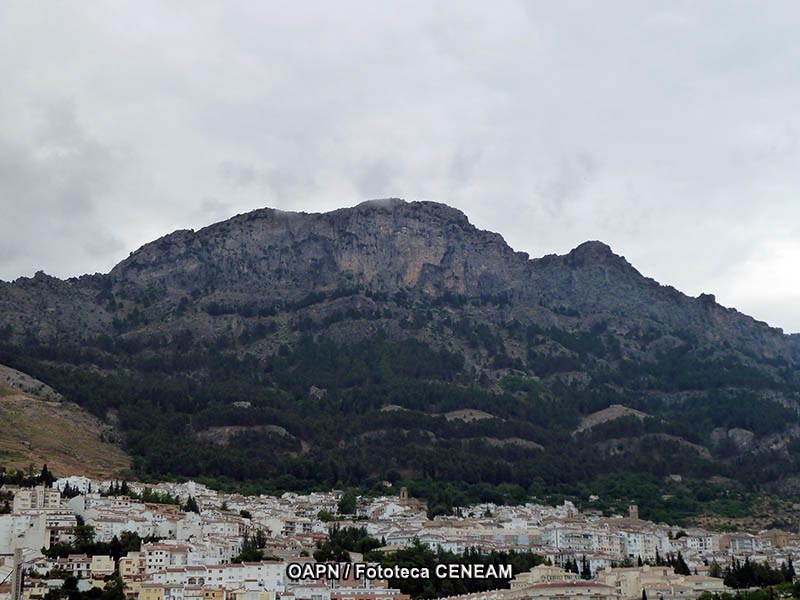 Sierras de Cazorla, Segura y las Villas