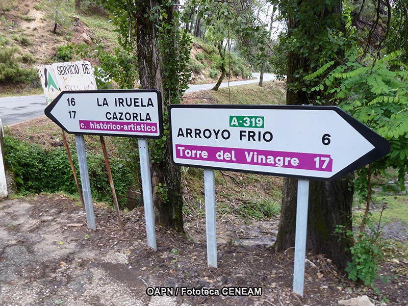 Sierras de Cazorla, Segura y las Villas